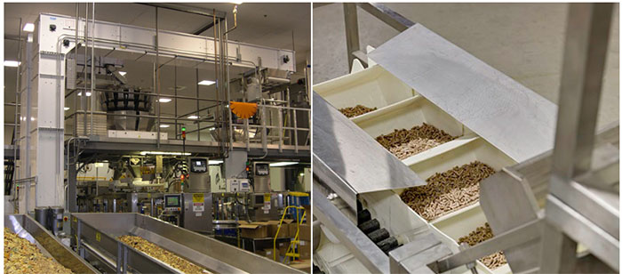 z型斗式提升機(jī)輸送堅果